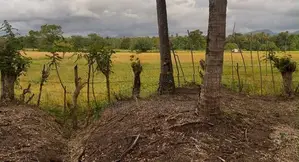 Land For Sale In Kurunegala Ibbagamuwa