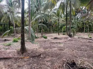 Land For Sale In Kurunegala Ibbagamuwa
