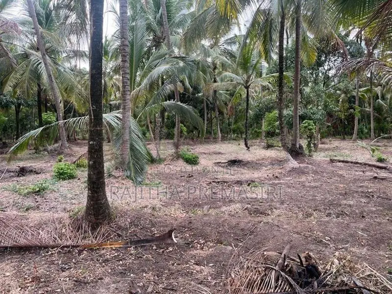 Land For Sale In Kurunegala Ibbagamuwa