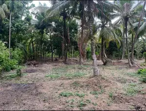 Land For Sale In Kurunegala Ibbagamuwa