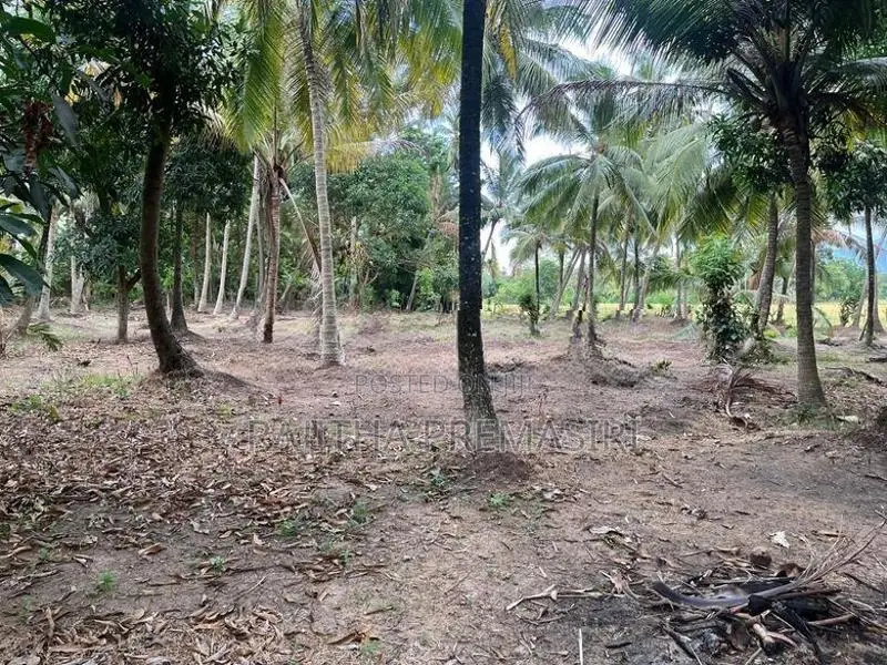 Land For Sale In Kurunegala Ibbagamuwa