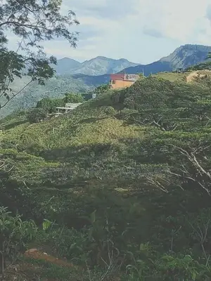 Land For Sale In Knuckles Digana