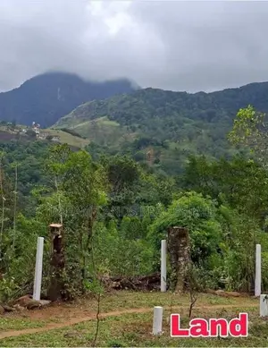 ☆ Kandy Hunnasgiriya Land for Sale ( RLS - 804 )