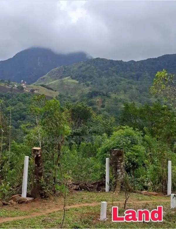 ☆ Kandy Hunnasgiriya Land for Sale ( RLS - 804 )