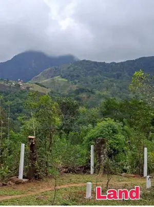 ☆ Kandy Hunnasgiriya Land for Sale ( RLS - 804 )