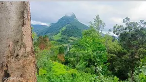 ☆ Kandy Hunnasgiriya Land for Sale ( RLS - 804 )