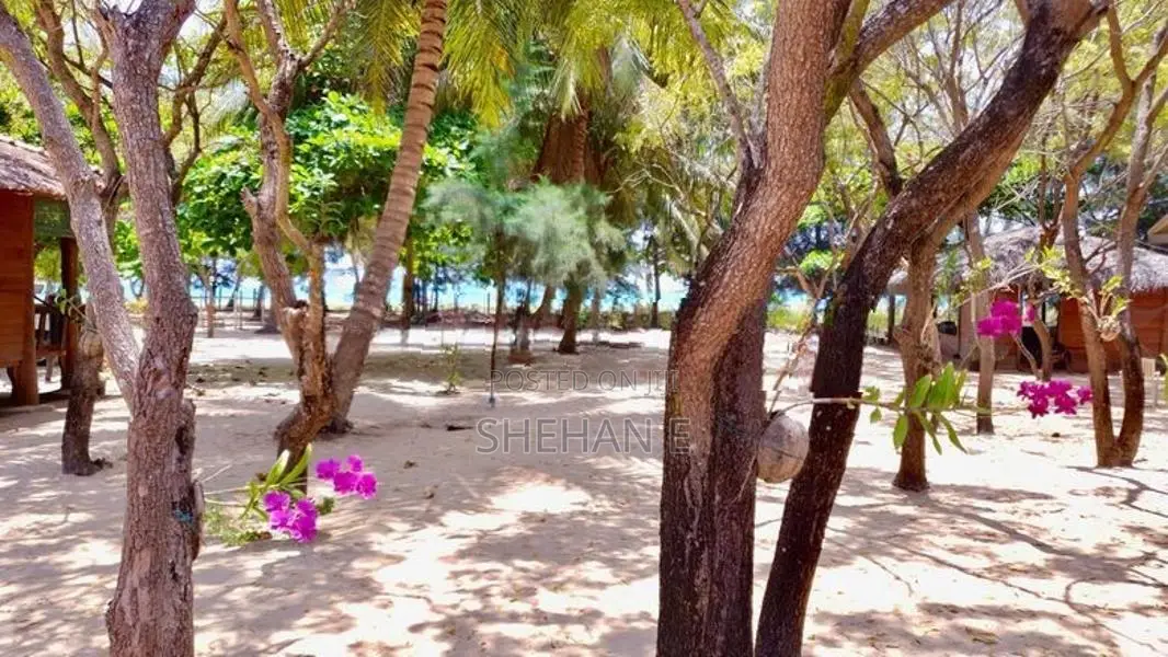 Beach Front Land with Tourist Resort - Pasikudah