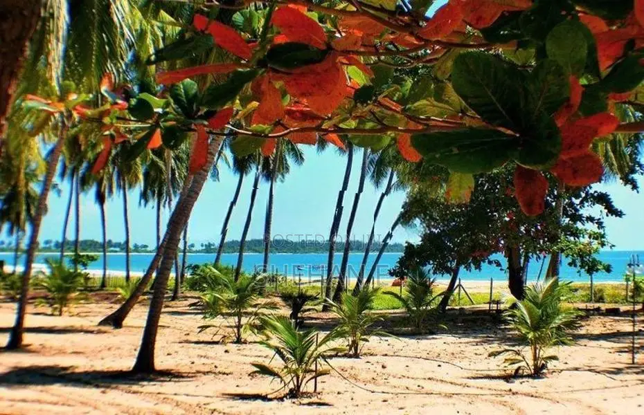 Beach Front Land with Tourist Resort - Pasikudah