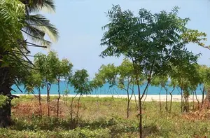 Beach Front Land For Tourism Pasikudah Batticaloa