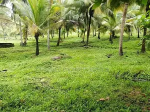 House With Land For Sale Ibbagamuwa