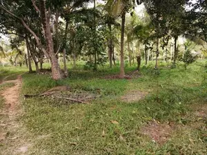 House With Land For Sale Ibbagamuwa