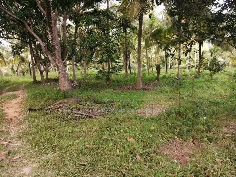 House With Land For Sale Ibbagamuwa
