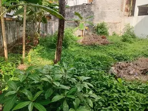 (CPS1030) Valuable Land for Sale in Ratmalana