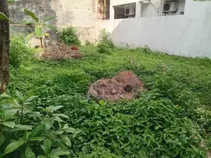 (CPS1030) Valuable Land for Sale in Ratmalana