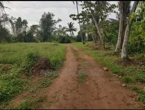 Kandana 185 Perches of Land for Sale