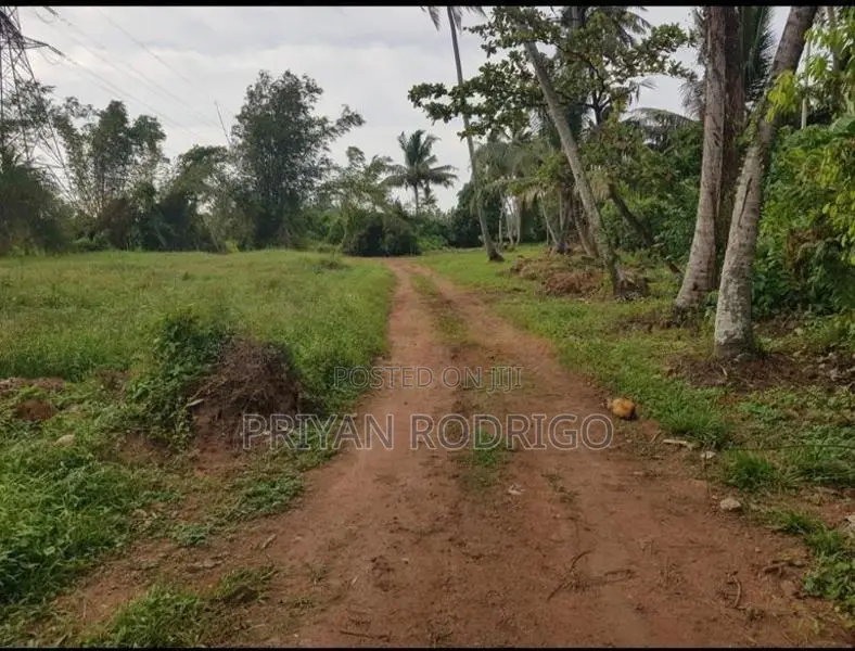 Kandana 185 Perches of Land for Sale