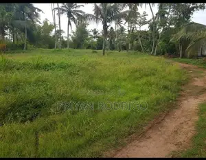 Kandana 185 Perches of Land for Sale