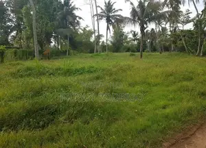 Kandana 185 Perches of Land for Sale