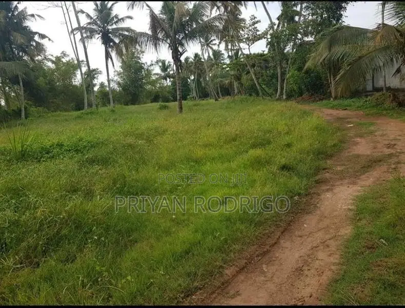 Kandana 185 Perches of Land for Sale