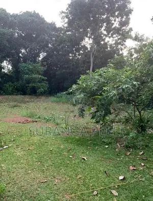 A Land For Sale In Midigama Tourism Zone Ahangama