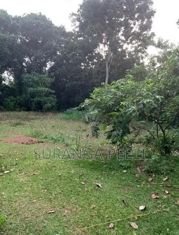 A Land For Sale In Midigama Tourism Zone Ahangama