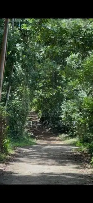 A Land For Sale In Midigama Tourism Zone Ahangama