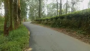 Forest View Land for Sale Delta Tea Estate - පුස්සැල්ලාව