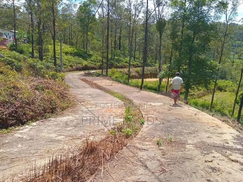 Forest View Land for Sale Delta Tea Estate - පුස්සැල්ලාව