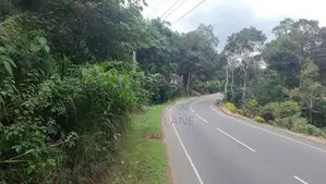 සුන්දර හපුතලෙන් ආයෝජන අවස්ථාවක්