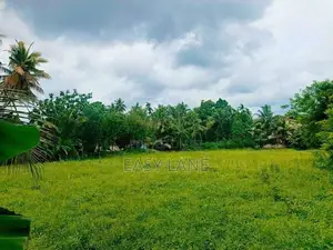 Prime Location එකක්