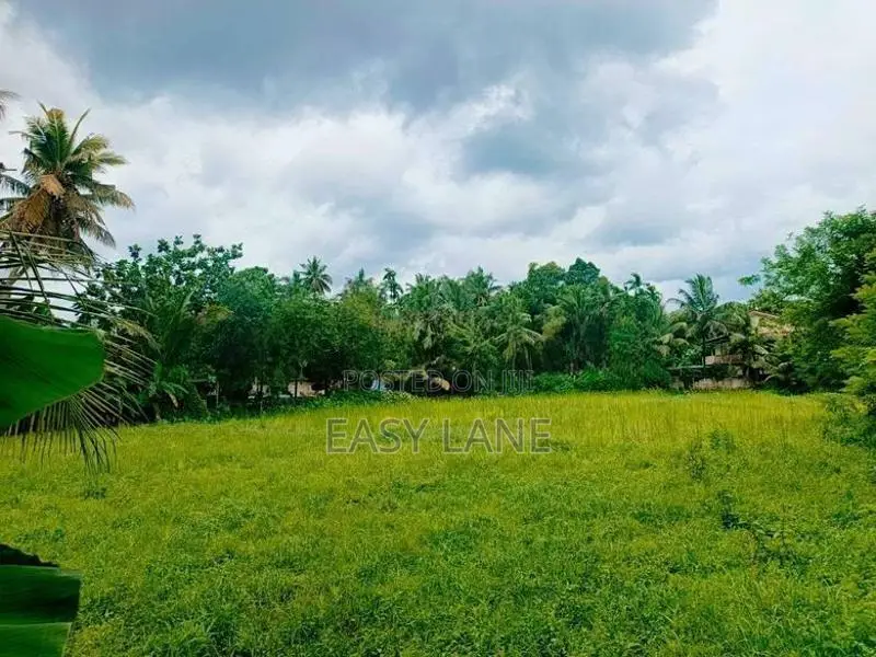 Prime Location එකක්