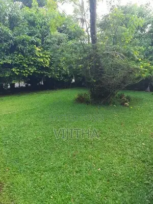 Separate Upstair Unit for Rent Talapathpitiya