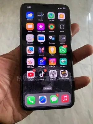 Apple iPhone XS Max (Used)