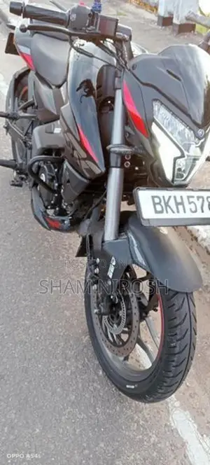 Bajaj Pulsar NS200 2025
