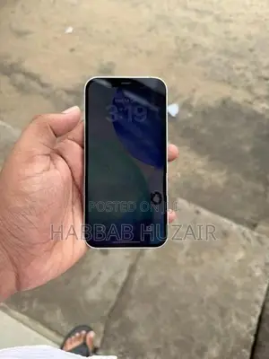 Apple iPhone 12 (Used)