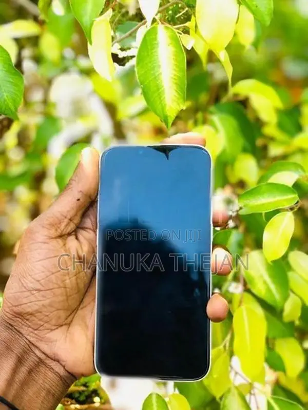 Apple iPhone 14 (Used)