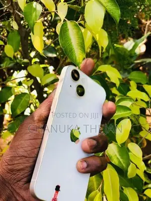 Apple iPhone 14 (Used)