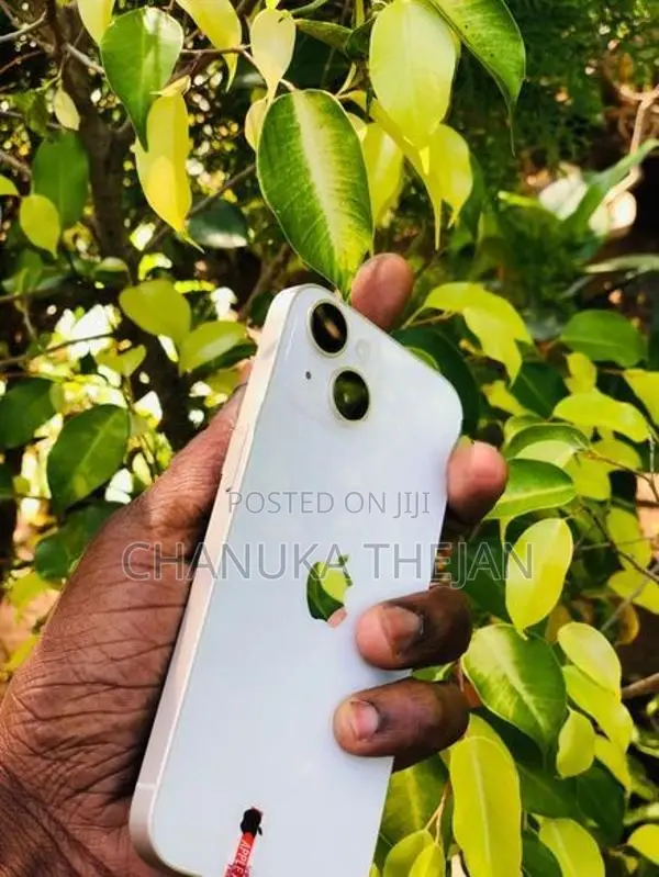 Apple iPhone 14 (Used)