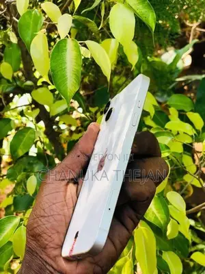 Apple iPhone 14 (Used)