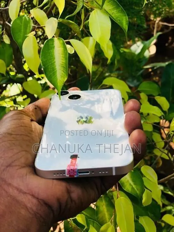 Apple iPhone 14 (Used)