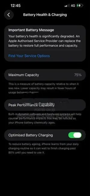 Apple iPhone 13 Pro Max (Used)