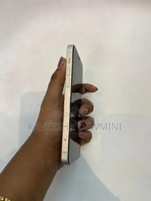 Apple iPhone 12 (Used)