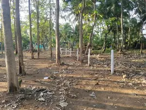 ළගදීම අනුරාධපුර සාලියමාවතෙන් අලුත්ම ඉඩමක්