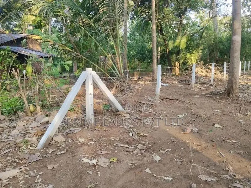 ළගදීම අනුරාධපුර සාලියමාවතෙන් අලුත්ම ඉඩමක්
