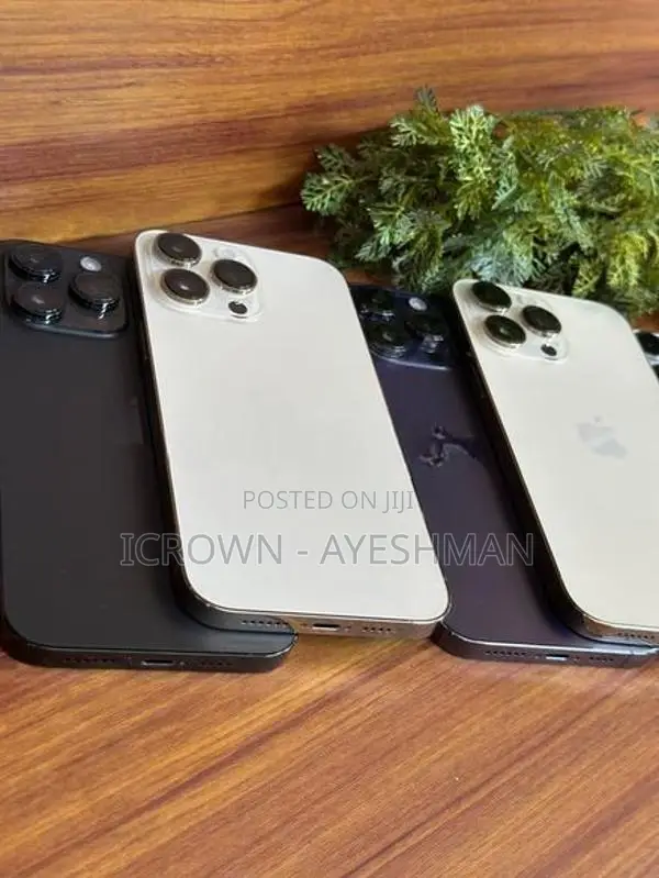 Apple iPhone 14 Pro Max 256GB (Used)