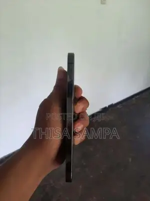 Apple iPhone 13 Pro Max (Used)