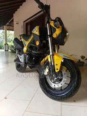 Dayun Mini 110 2017