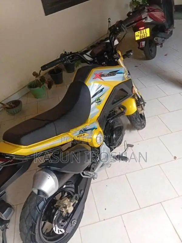 Dayun Mini 110 2017