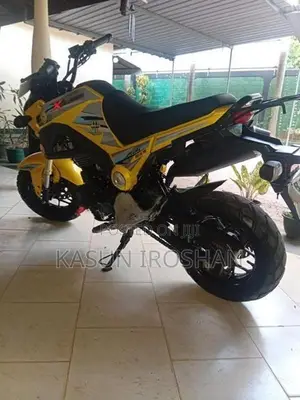 Dayun Mini 110 2017