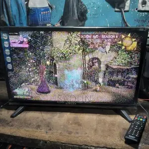Singer 24 Inches TV
